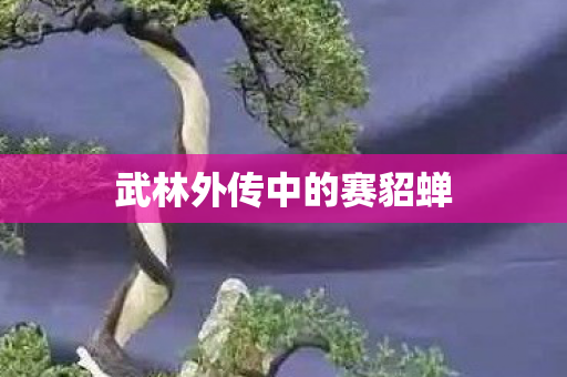 武林外传中的赛貂蝉 武林外传中的赛貂蝉