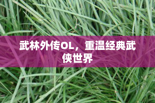 武林外传OL,重温经典武侠世界 武林外传OL,重温经典武侠世界