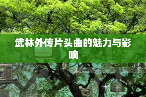 武林外传片头曲的魅力与影响 武林外传片头曲的魅力与影响
