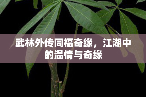 武林外传同福奇缘,江湖中的温情与奇缘 武林外传同福奇缘,江湖中的温情与奇缘