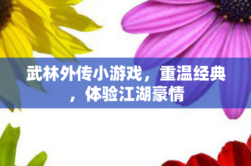 武林外传小游戏,重温经典,体验江湖豪情 武林外传小游戏,重温经典,体验江湖豪情