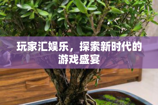 玩家汇娱乐，探索新时代的游戏盛宴