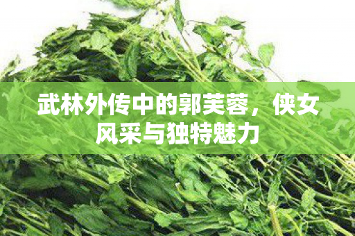 武林外传中的郭芙蓉，侠女风采与独特魅力