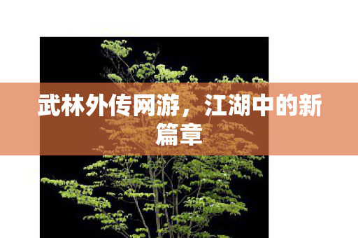 武林外传网游，江湖中的新篇章