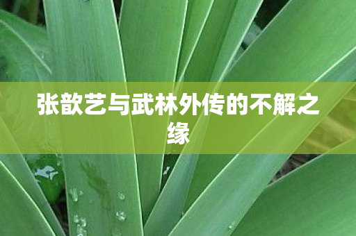 张歆艺与武林外传的不解之缘