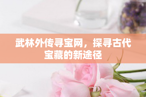 武林外传寻宝网,探寻古代宝藏的新途径 武林外传寻宝网,探寻古代宝藏的新途径