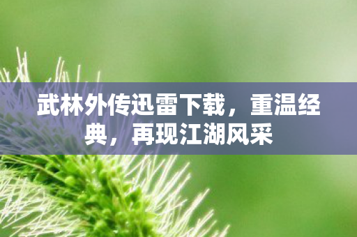 武林外传迅雷下载,重温经典,再现江湖风采 武林外传迅雷下载,重温经典,再现江湖风采