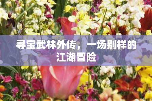 寻宝武林外传,一场别样的江湖冒险 寻宝武林外传,一场别样的江湖冒险