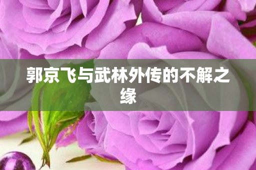 郭京飞与武林外传的不解之缘 郭京飞与武林外传的不解之缘