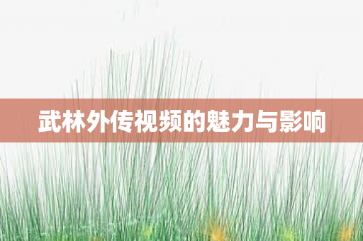 武林外传视频的魅力与影响 武林外传视频的魅力与影响