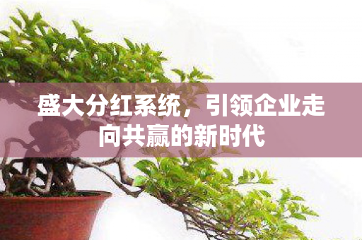 盛大分红系统,引领企业走向共赢的新时代 盛大分红系统,引领企业走向共赢的新时代
