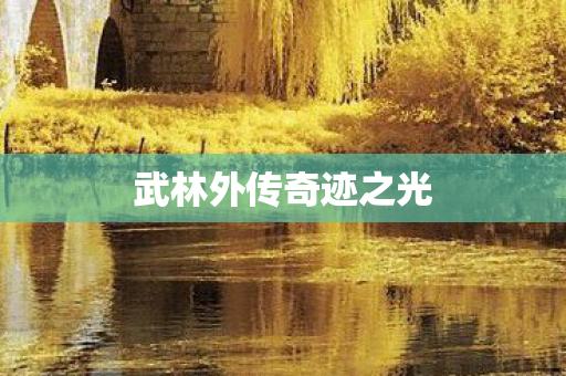武林外传奇迹之光 武林外传奇迹之光