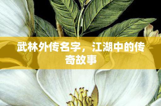 武林外传名字，江湖中的传奇故事
