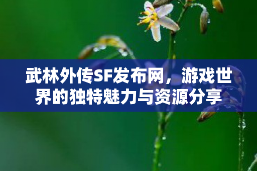 武林外传SF发布网,游戏世界的独特魅力与资源分享 武林外传SF发布网,游戏世界的独特魅力与资源分享