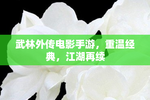 武林外传电影手游,重温经典,江湖再续 武林外传电影手游,重温经典,江湖再续