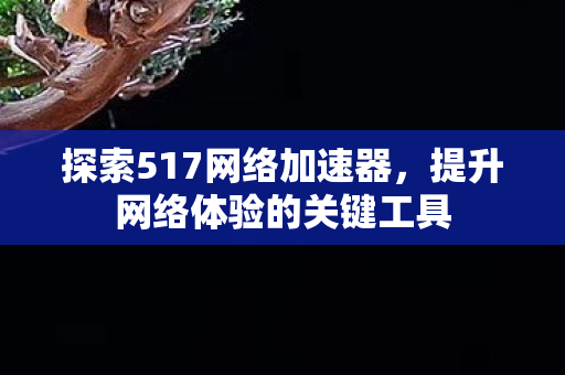 探索517网络加速器,提升网络体验的关键工具 探索517网络加速器,提升网络体验的关键工具