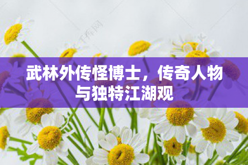 武林外传怪博士,传奇人物与独特江湖观 武林外传怪博士,传奇人物与独特江湖观
