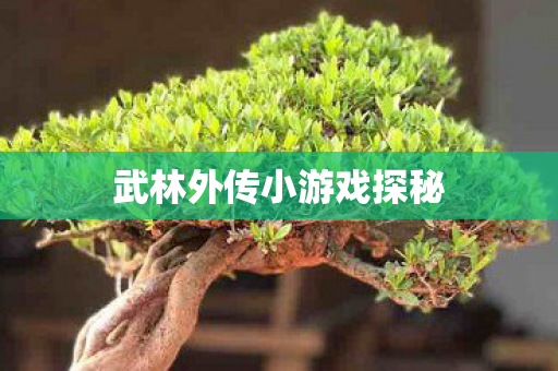 武林外传小游戏探秘 武林外传小游戏探秘