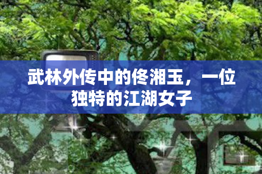 武林外传中的佟湘玉，一位独特的江湖女子