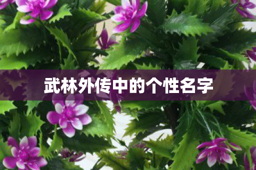 武林外传中的个性名字