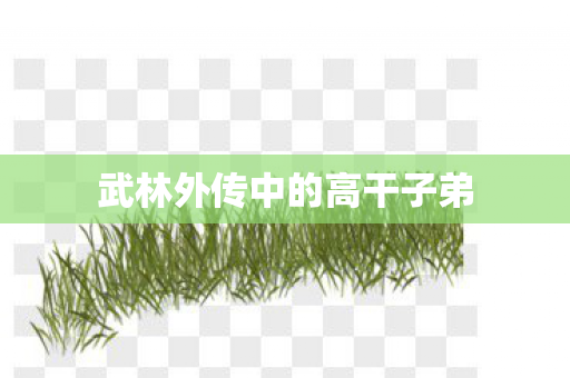 武林外传中的高干子弟
