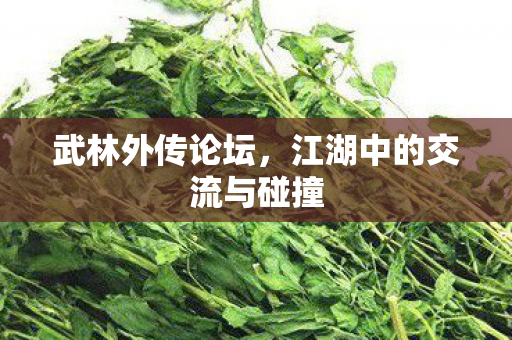 武林外传论坛，江湖中的交流与碰撞