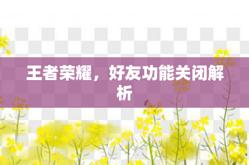 王者荣耀,好友功能关闭解析 王者荣耀,好友功能关闭解析