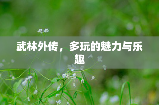武林外传，多玩的魅力与乐趣