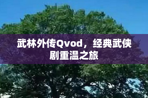 武林外传Qvod，经典武侠剧重温之旅
