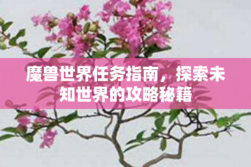 魔兽世界任务指南，探索未知世界的攻略秘籍