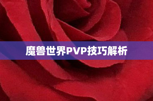 魔兽世界PVP技巧解析 魔兽世界PVP技巧解析