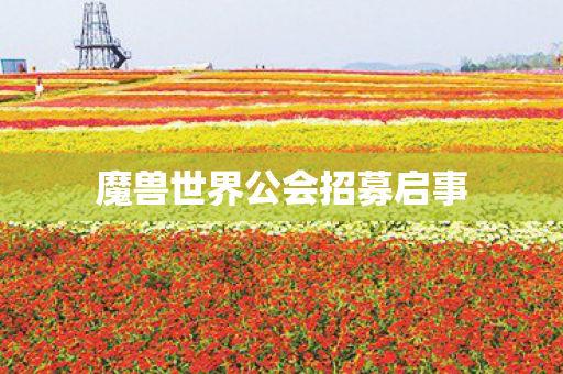 魔兽世界公会招募启事