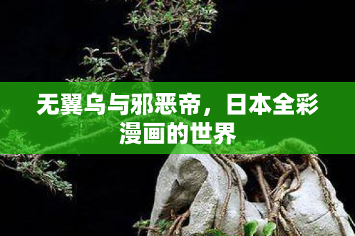 无翼乌与邪恶帝,日本全彩漫画的世界 无翼乌与邪恶帝,日本全彩漫画的世界