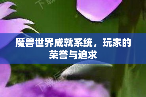魔兽世界成就系统，玩家的荣誉与追求