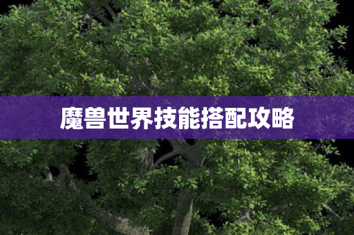魔兽世界技能搭配攻略 魔兽世界技能搭配攻略