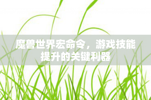 魔兽世界宏命令，游戏技能提升的关键利器