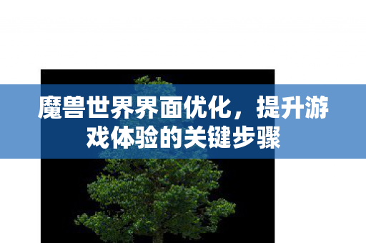 魔兽世界界面优化，提升游戏体验的关键步骤
