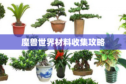 魔兽世界材料收集攻略