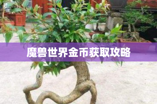 魔兽世界金币获取攻略