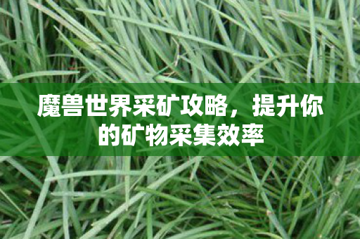 魔兽世界采矿攻略,提升你的矿物采集效率 魔兽世界采矿攻略,提升你的矿物采集效率