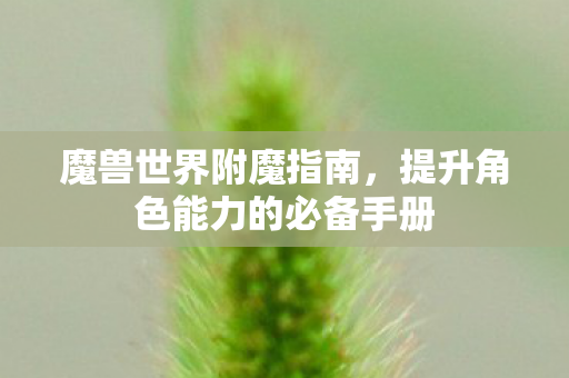 魔兽世界附魔指南，提升角色能力的必备手册