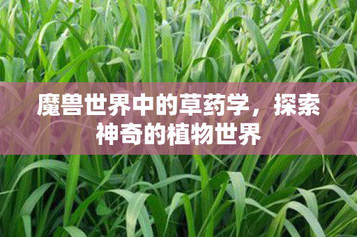 魔兽世界中的草药学，探索神奇的植物世界
