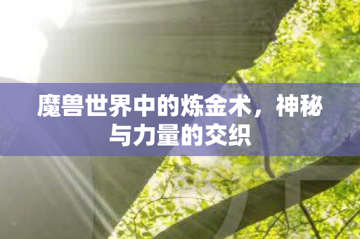魔兽世界中的炼金术,神秘与力量的交织 魔兽世界中的炼金术,神秘与力量的交织