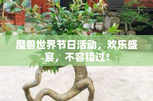 魔兽世界节日活动,欢乐盛宴,不容错过! 魔兽世界节日活动,欢乐盛宴,不容错过!