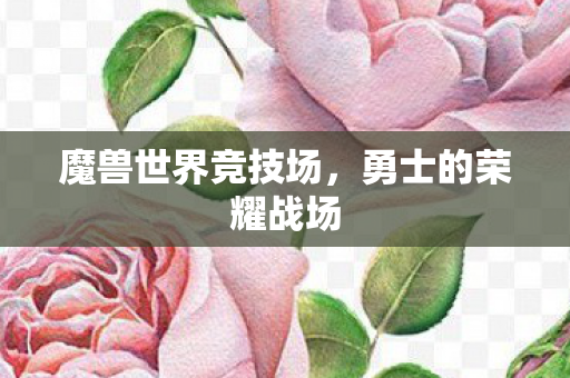 魔兽世界竞技场,勇士的荣耀战场 魔兽世界竞技场,勇士的荣耀战场