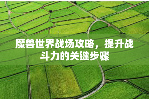 魔兽世界战场攻略,提升战斗力的关键步骤 魔兽世界战场攻略,提升战斗力的关键步骤