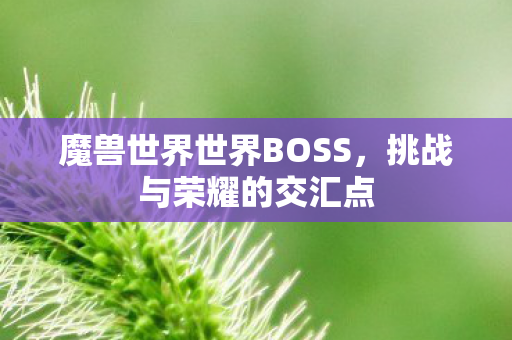 魔兽世界世界BOSS,挑战与荣耀的交汇点 魔兽世界世界BOSS,挑战与荣耀的交汇点