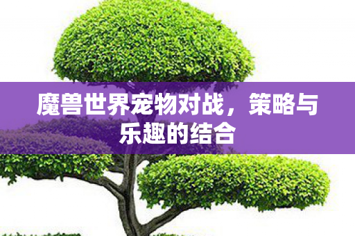 魔兽世界宠物对战，策略与乐趣的结合
