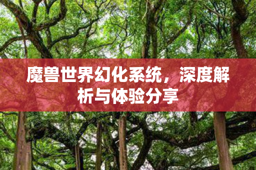魔兽世界幻化系统,深度解析与体验分享 魔兽世界幻化系统,深度解析与体验分享