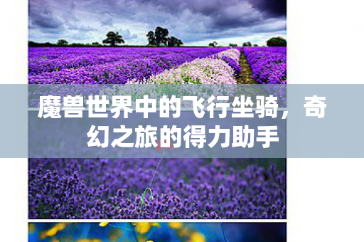 魔兽世界中的飞行坐骑，奇幻之旅的得力助手